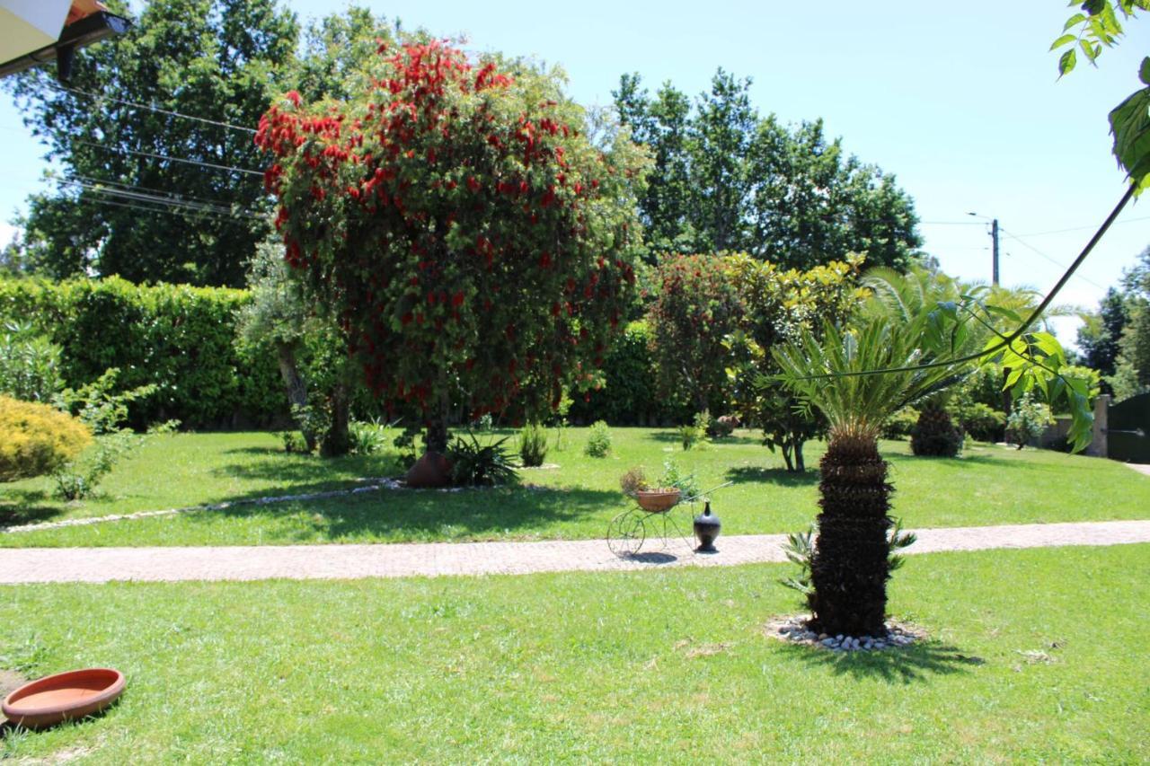 The Oak'S Wolf-Country House Fafe Bagian luar foto