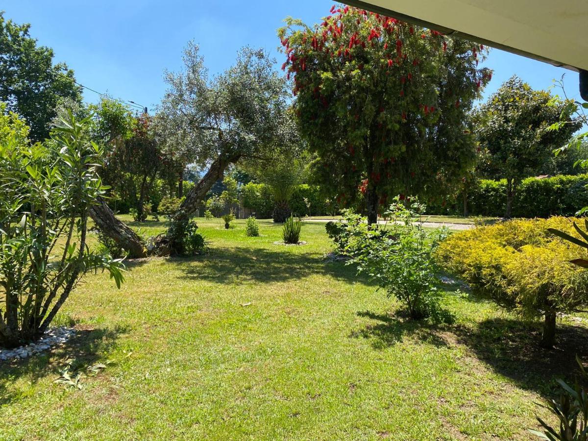 The Oak'S Wolf-Country House Fafe Bagian luar foto